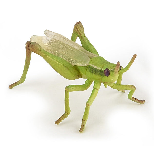 Figurine Sauterelle Papo - animal du jardin