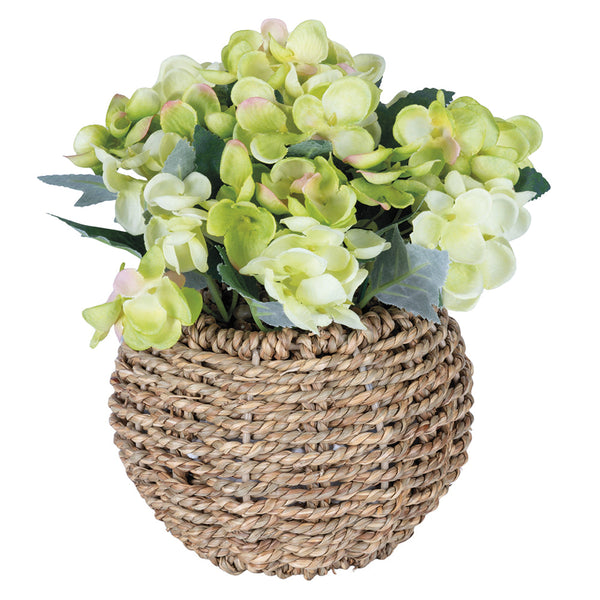 HYDRANGEA PLANT RAFFIA POT H. 20CM - 2188533