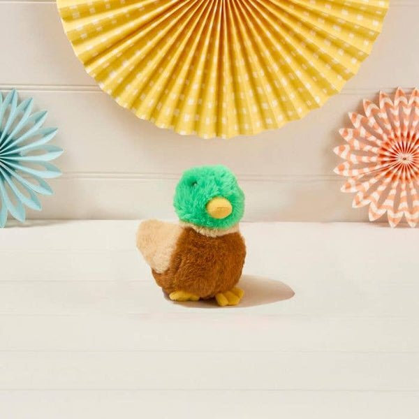 Petite Peluche Canard Colvert
