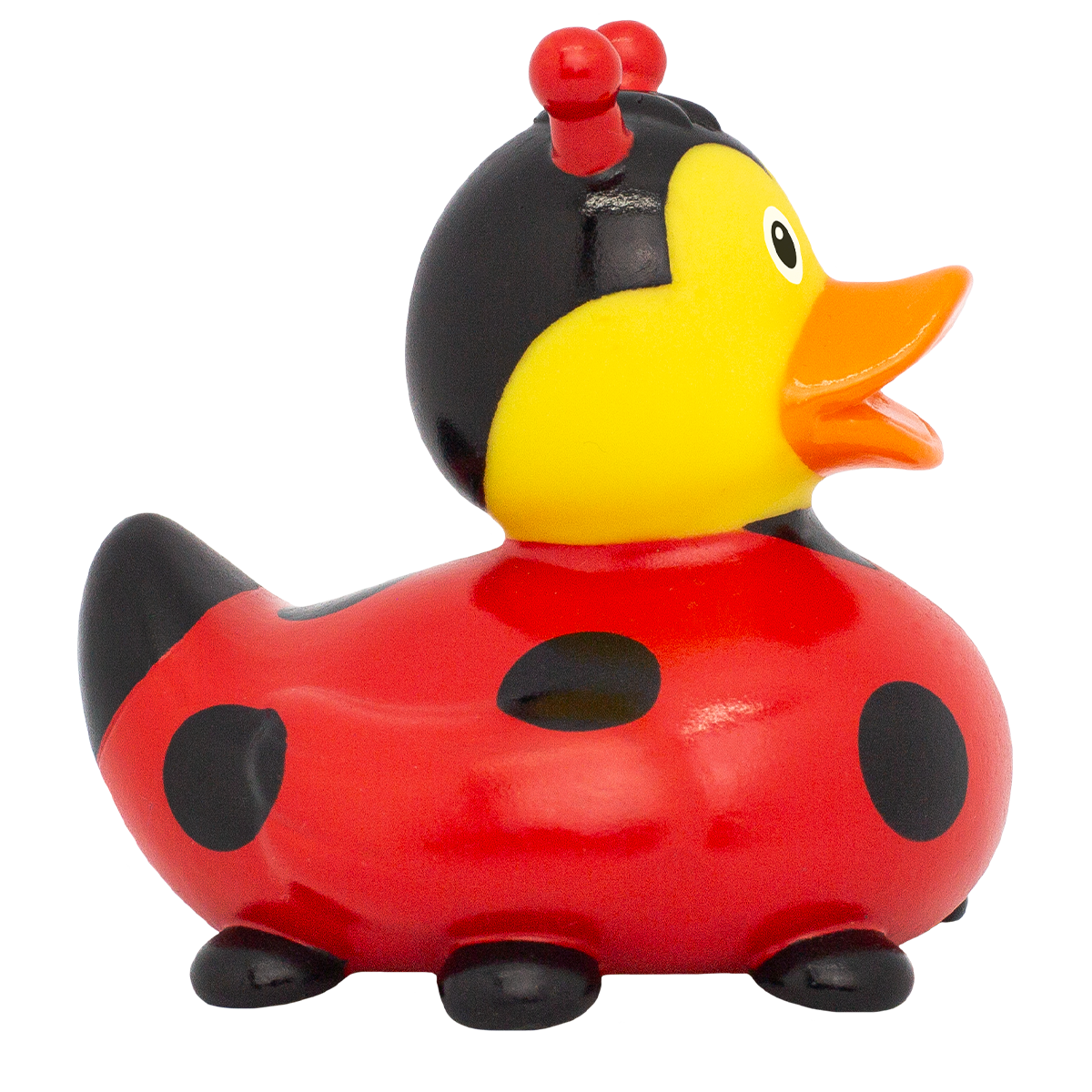 Canard Coccinelle Nouvelle Version Lilalu - vue 5