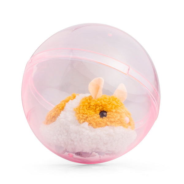 HAMSTER COURANT ANIMIGOS