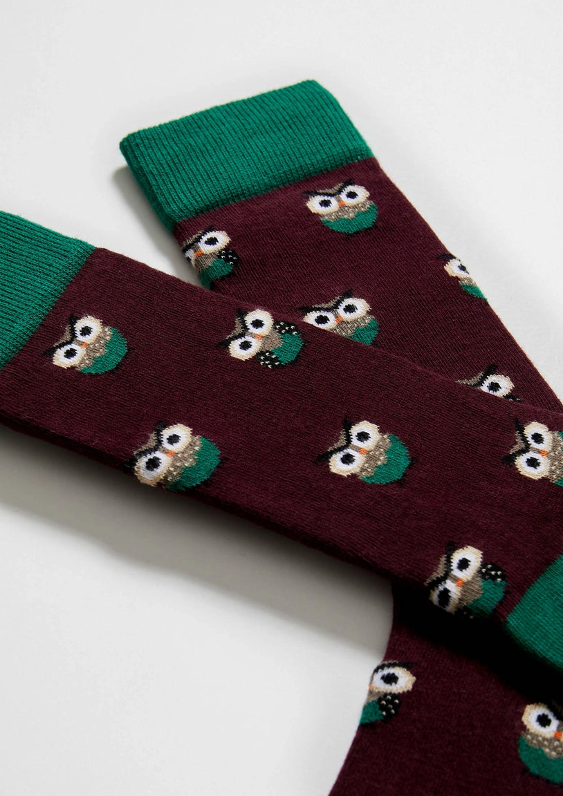 BeOwl Socks