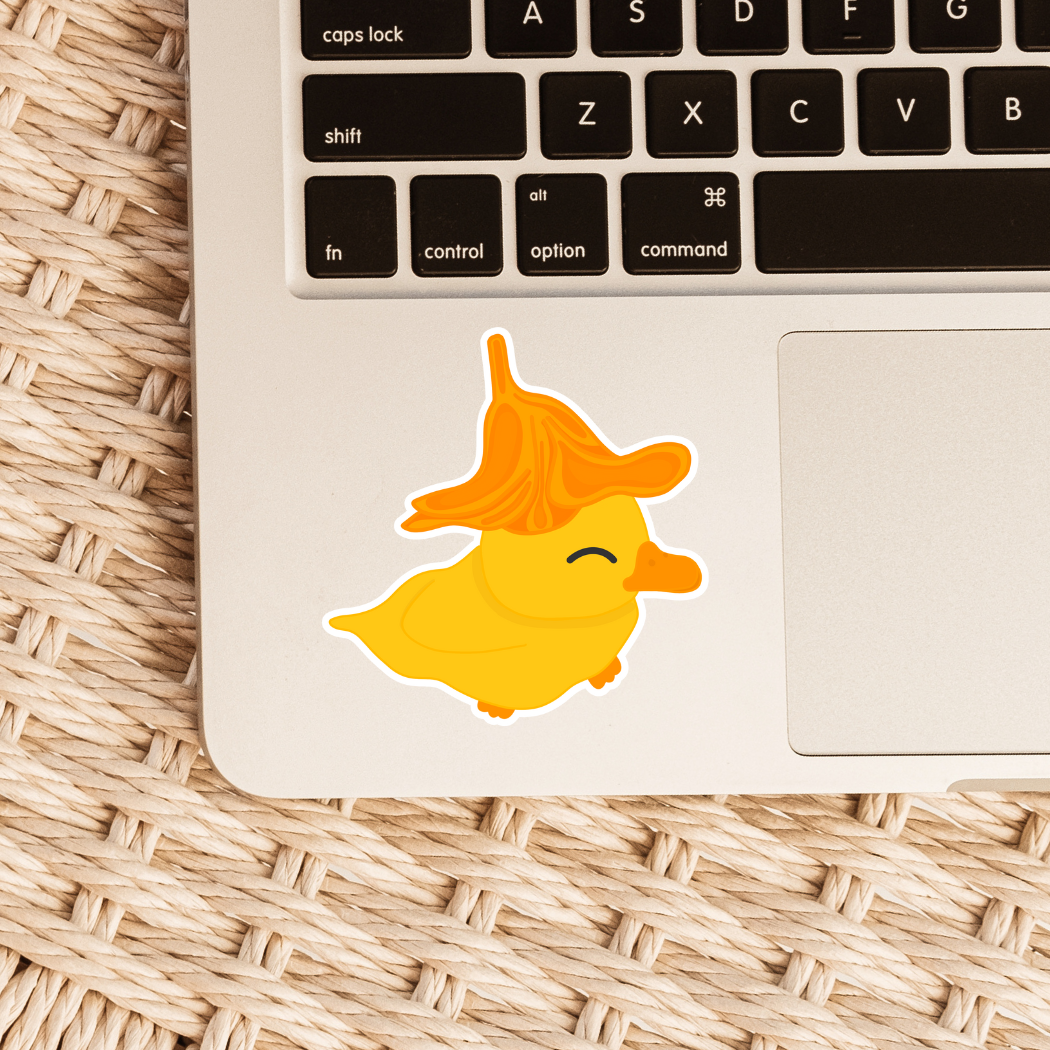 Duck with flower hat