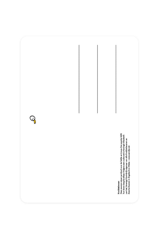 Postcard with mute swan