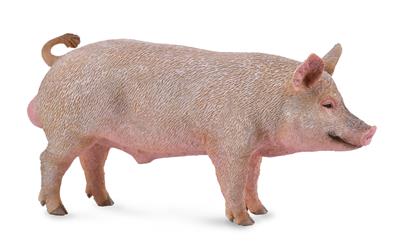 Collecta La ferme (M): SANGLIER 10.7x5.2cm