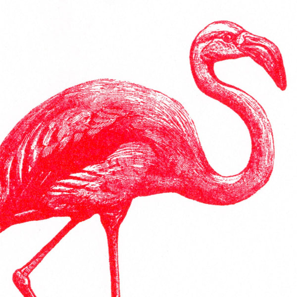 Ansichtkaart met roze flamingo