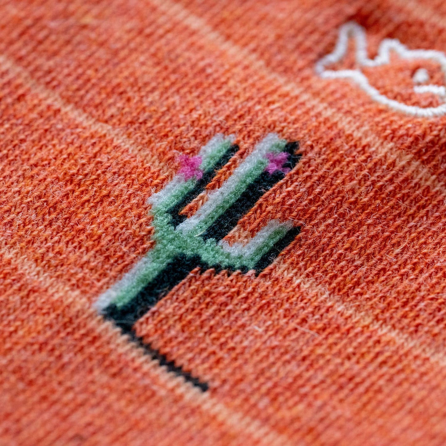 Cactussokken