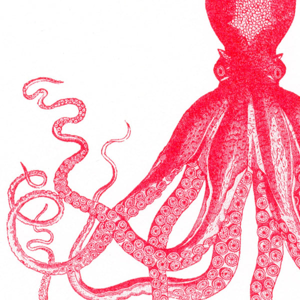 Ansichtkaart met rode octopus