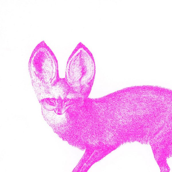 Neonroze fennek ansichtkaart