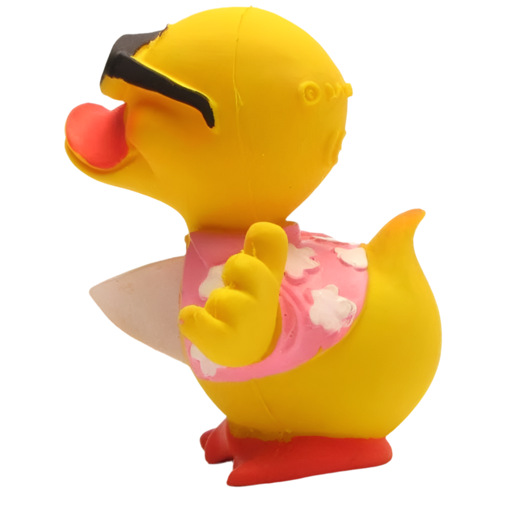 canard surfeur lanco