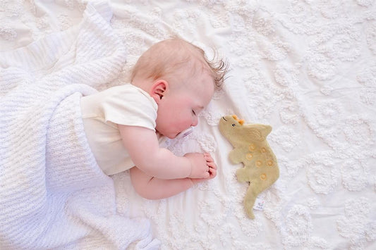 Crinkle Toy Soft Dinausore Triceratops