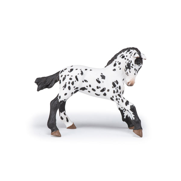 Figurine Poulain appaloosa noir Papo - cheval