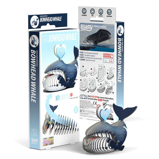 EUGY 3D - Bowhead Whale