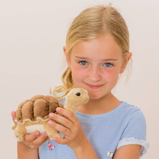 Knuffelschildpad