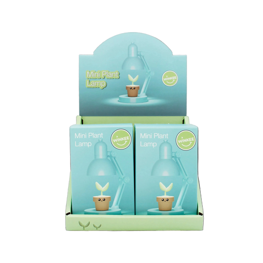 Mini lampe avec plante décorative