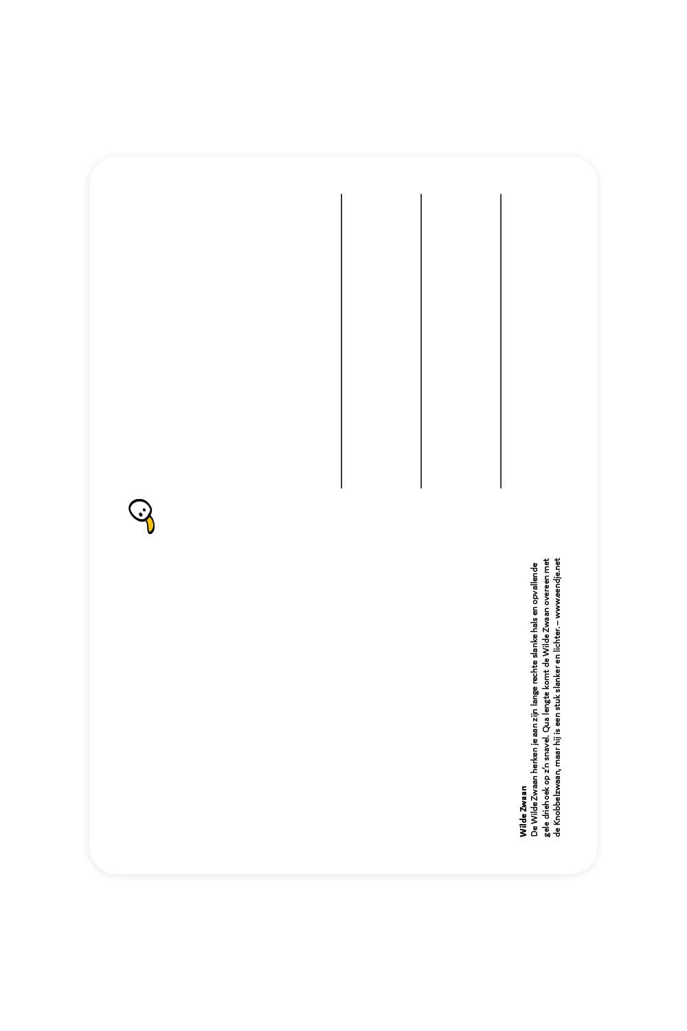 Postcard with Wild Swan