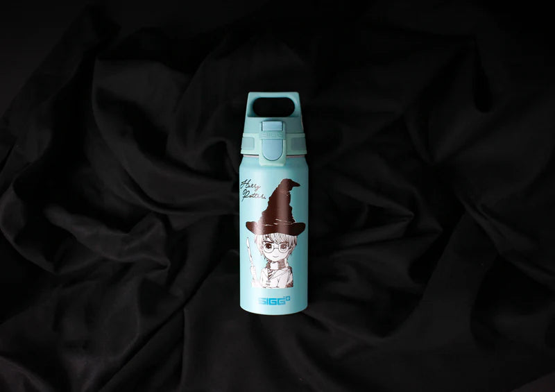WMB ONE Kids Harry Potter 0.6 L Water Bottle