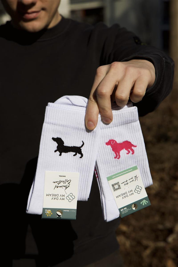 Labrador