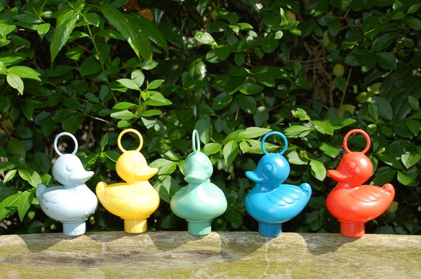 Cadeauset met vis-eenden - ECO