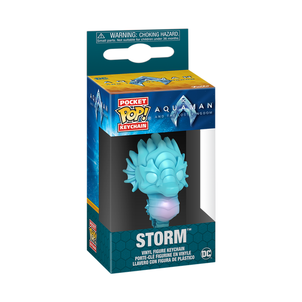 Funko Pop! Keychain Storm – DC Comics