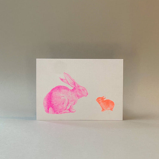Rabbit Postcard