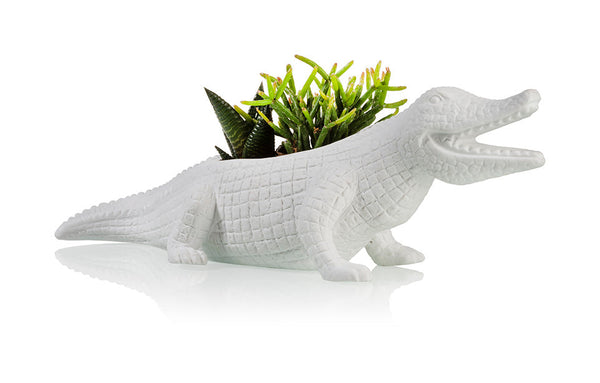 Pot de Fleur Crocodile