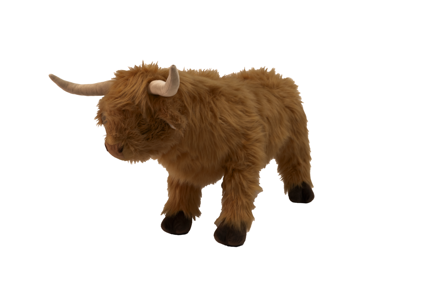 Highland cow 56 cm
