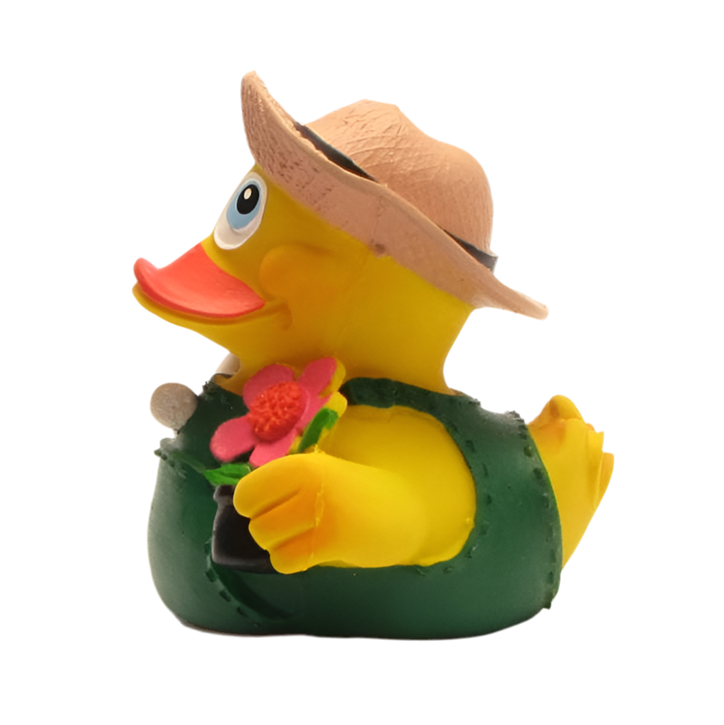 Canard Jardinier