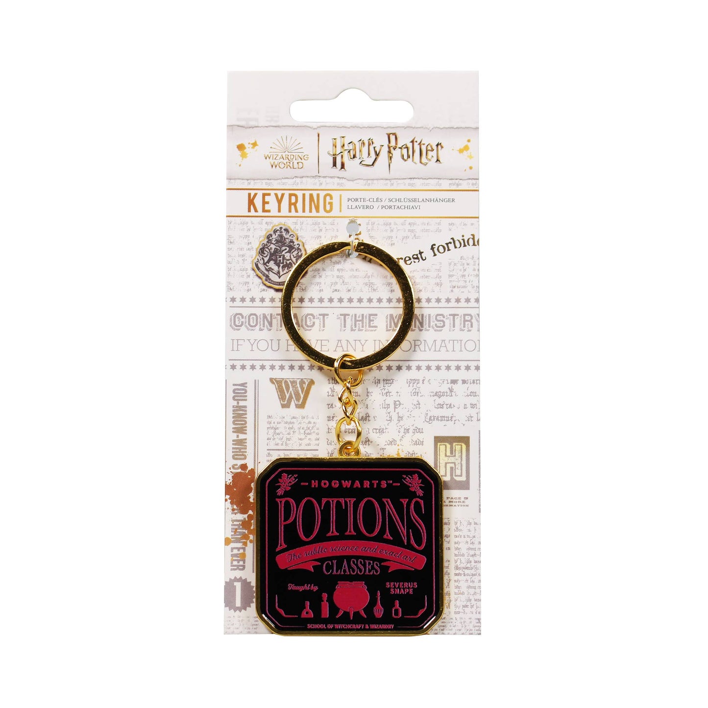 Keychain with letterhead card - Harry Potter (Potions)