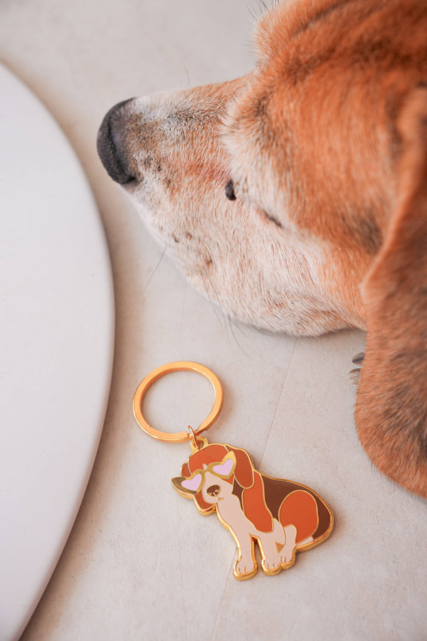 Beagle sleutelhanger
