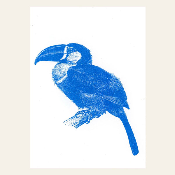 Ansichtkaart van een blauwe toekan