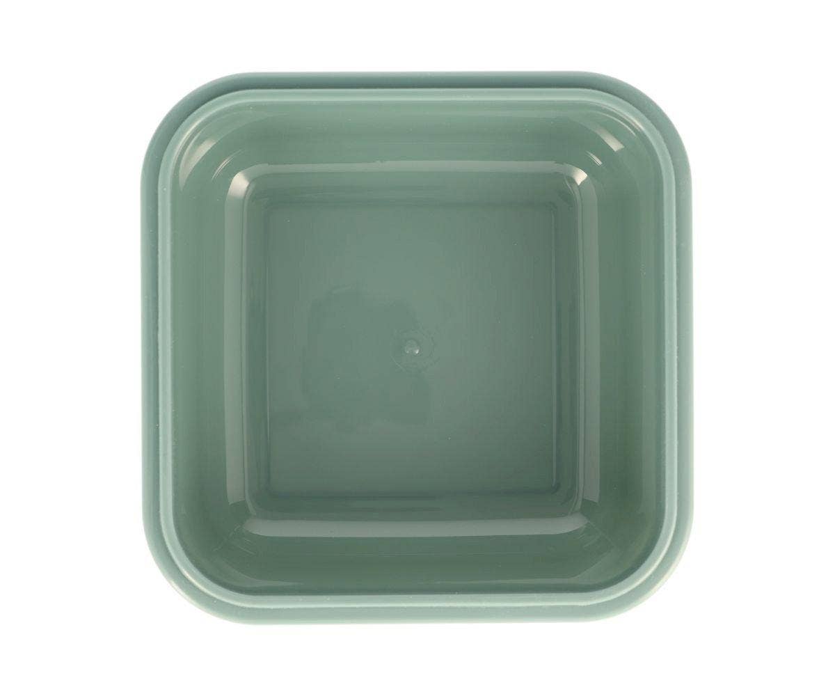 Grote Dinosaur World lunchbox