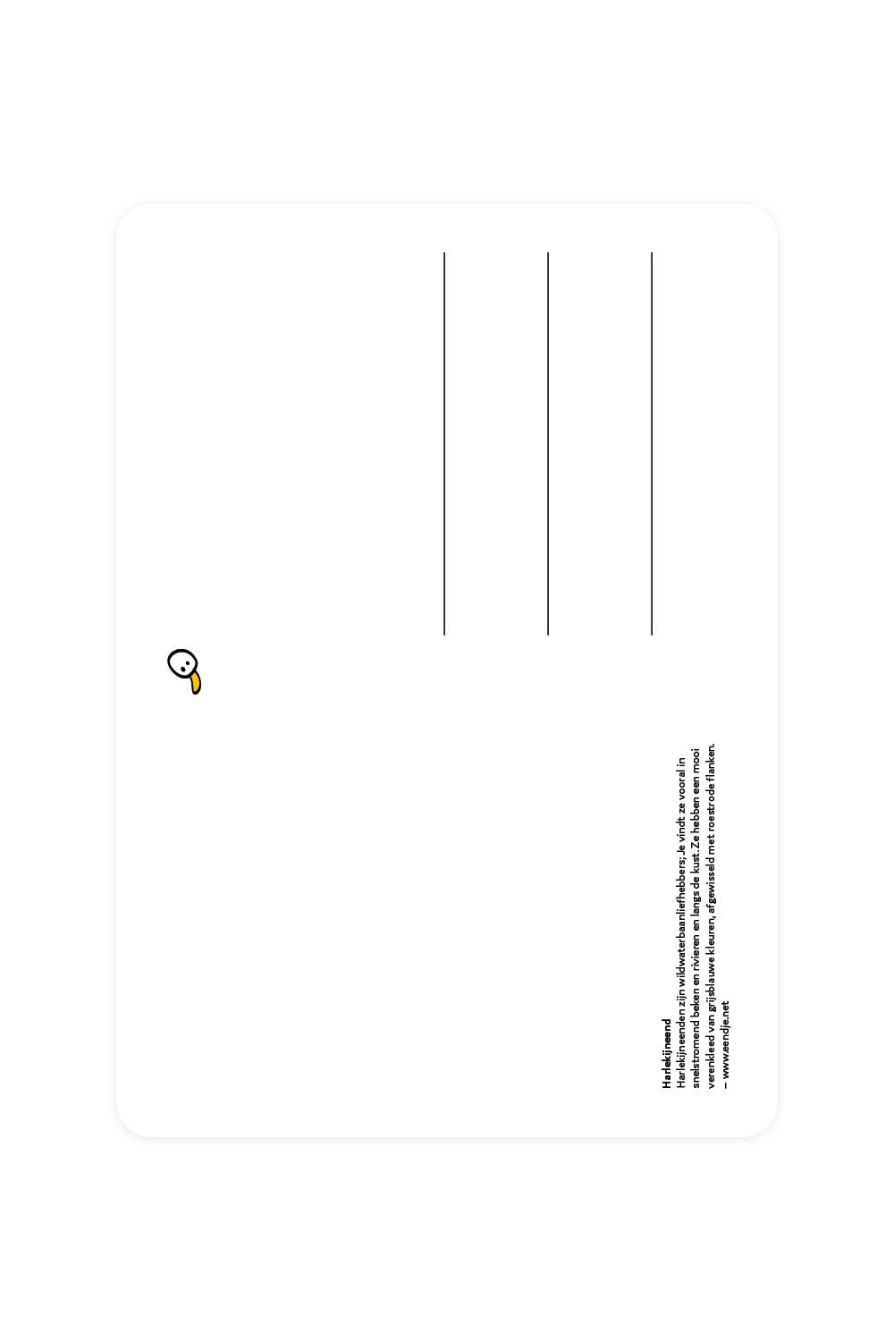 Postcard with Harlequin Duck