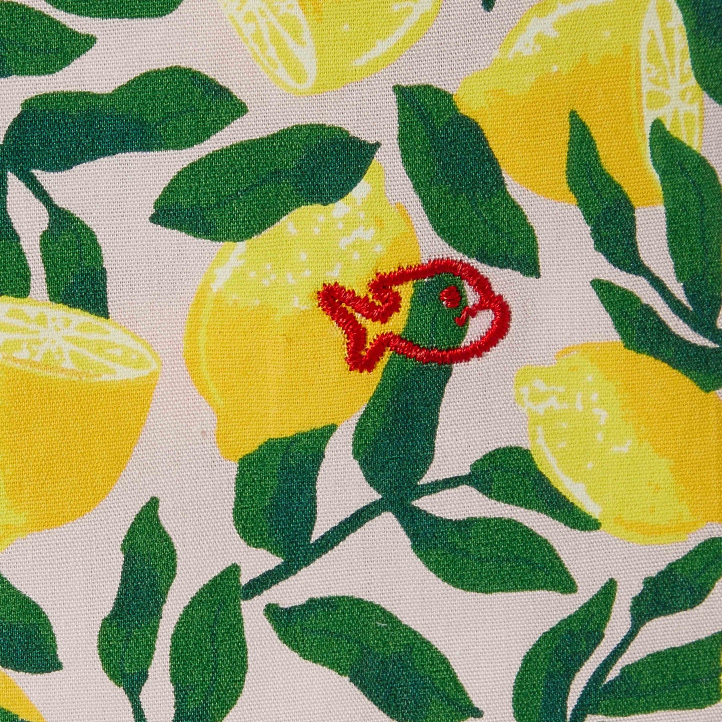 Boxershorts van 100% biologisch katoen - Citrus