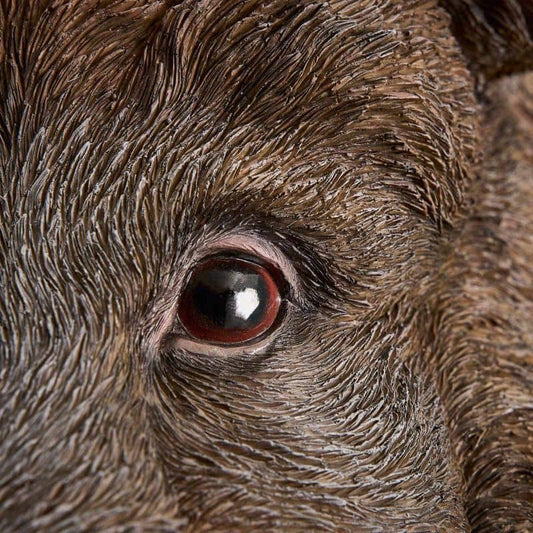 Applique murale Sanglier Willy, résine polyuréthane marron