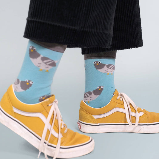 Socks – Claude the pigeon
