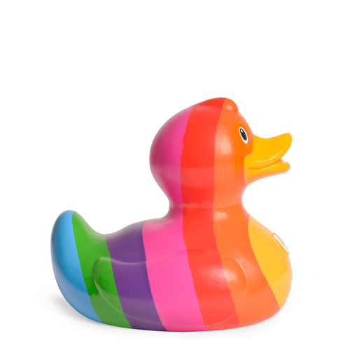 Regenboog Eend