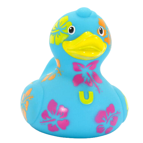 Canard Hawaïen