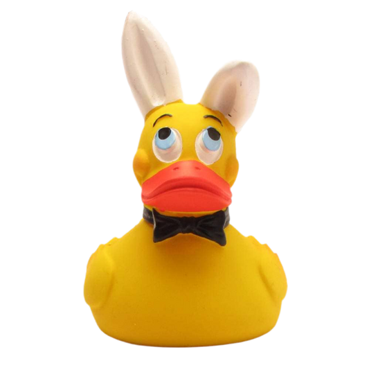 Duck Bunny