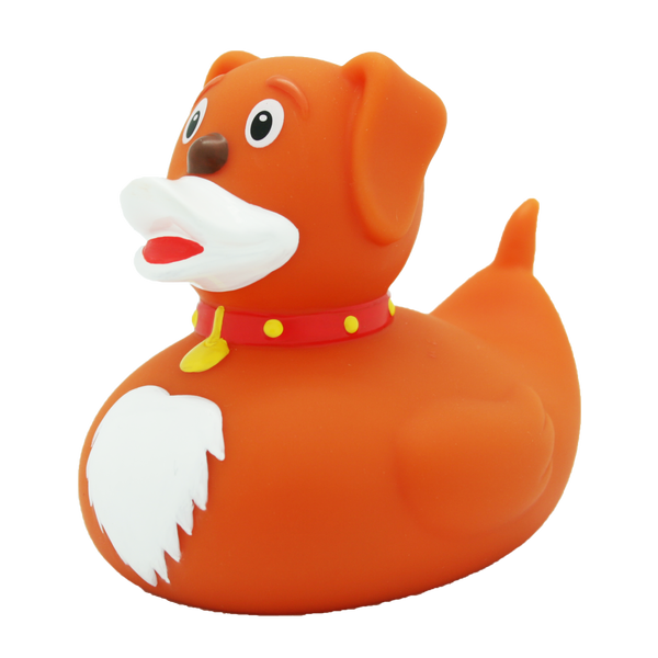 Canard Chien