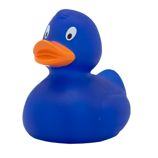 Canard Classique Bleu