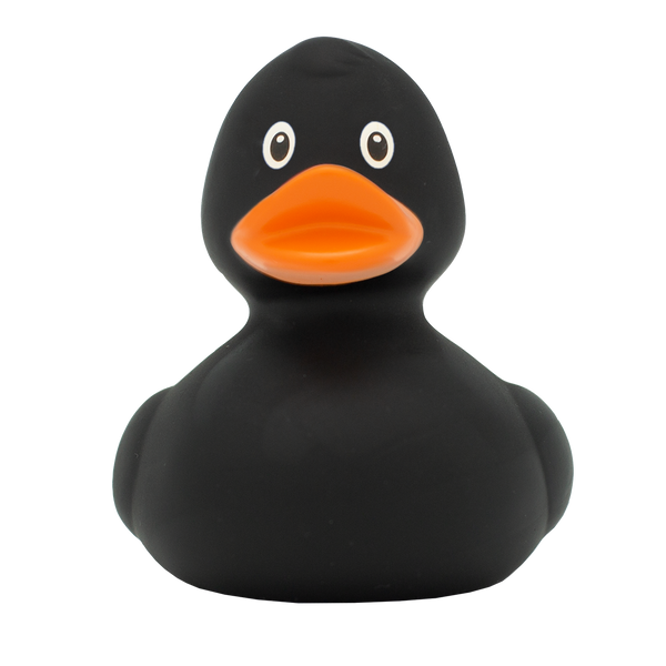 Canard Classique Noir