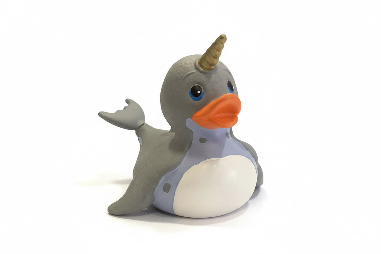 Narval duck