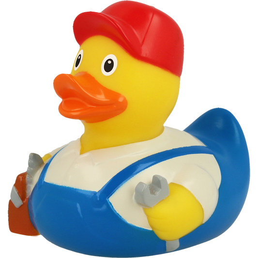 Canard Bricoleur