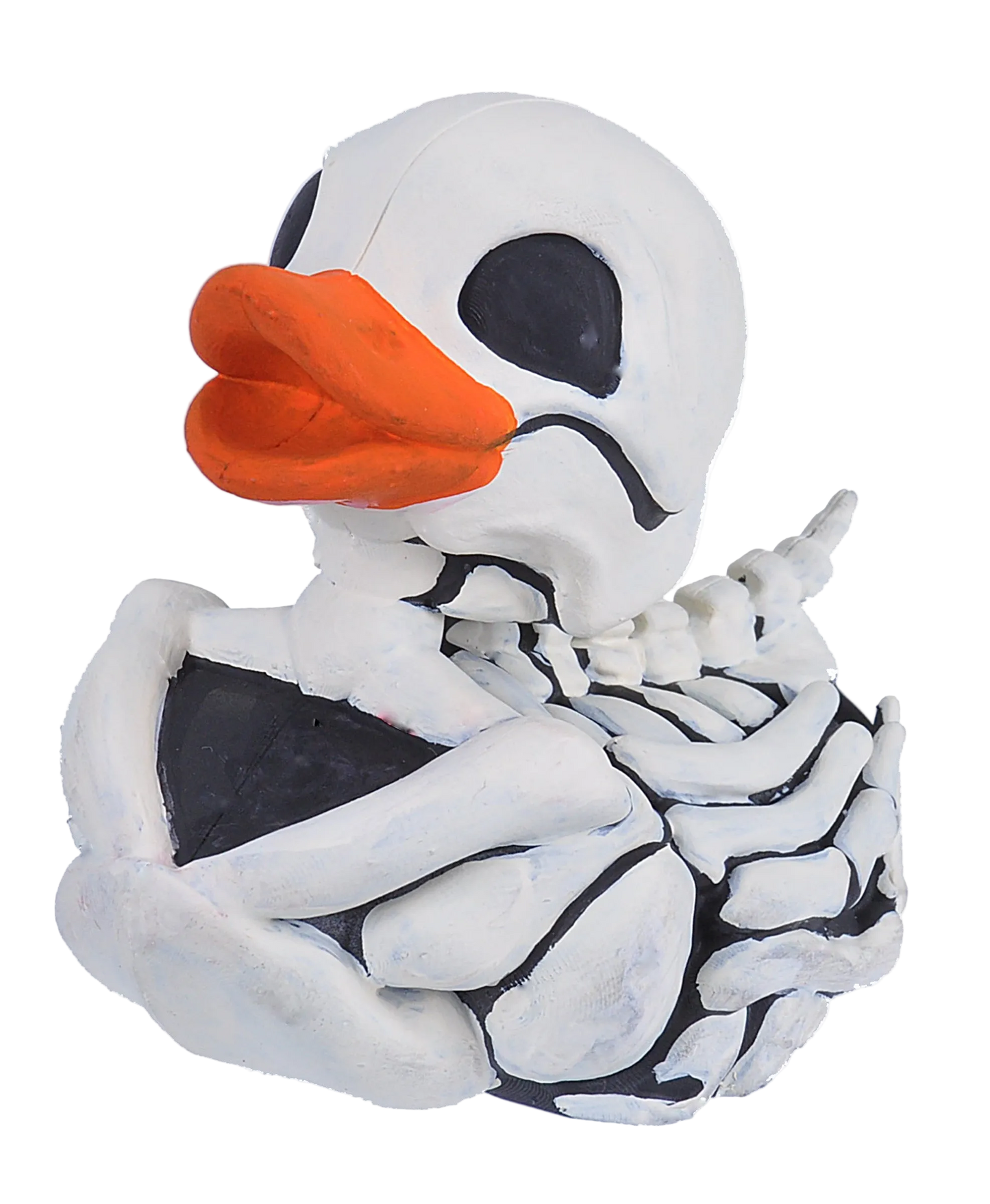 Duck skeleton