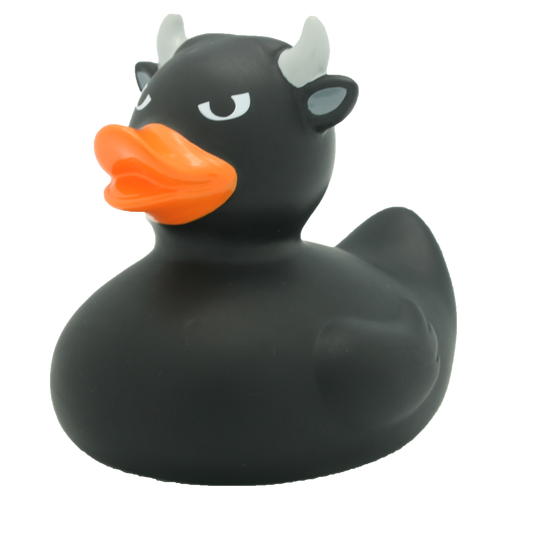 Black bull duck