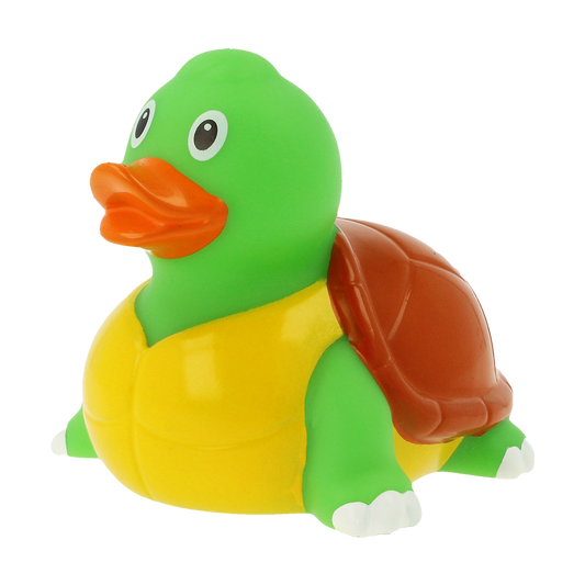 Duck turtle