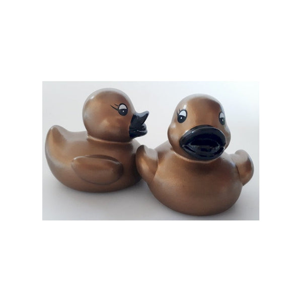 Kleine bronzen eend
