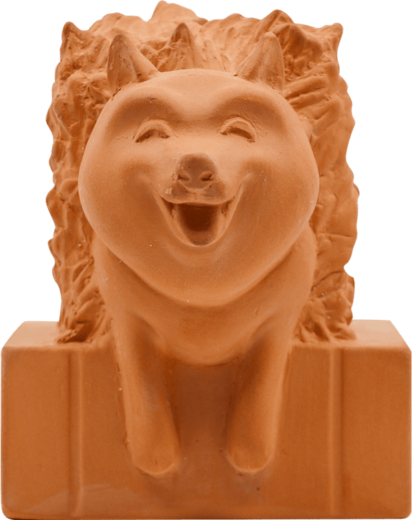 Hedgedoge (Chia Pet)