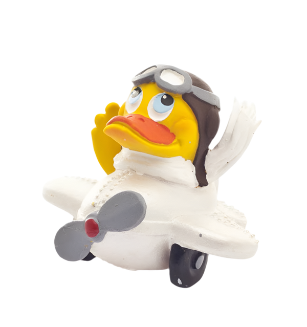 Duck Pilot-vliegtuig